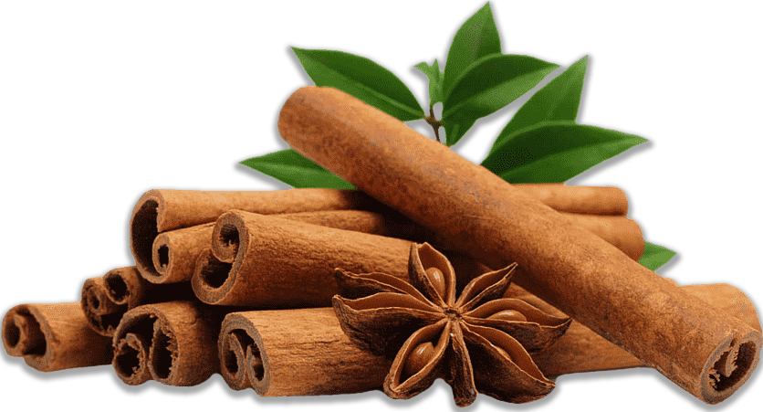 Sri Lankan Cinnamon Sticks