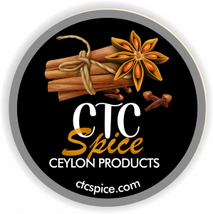 CTC Spice