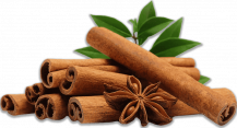 Sri Lankan Cinnamon Sticks